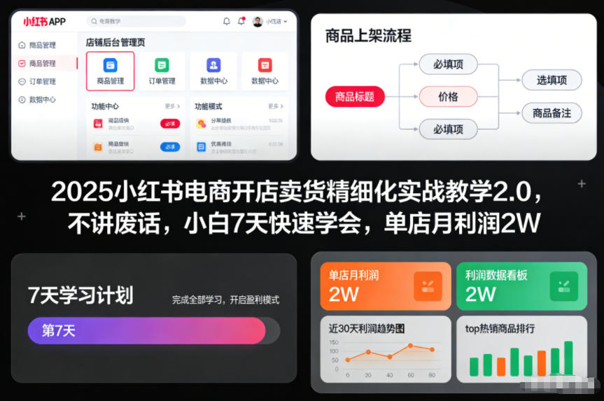 2025小红书电商开店卖货精细化实战教学2.0，不讲废话，小白7天快速学会，单店月利润2W-百创网