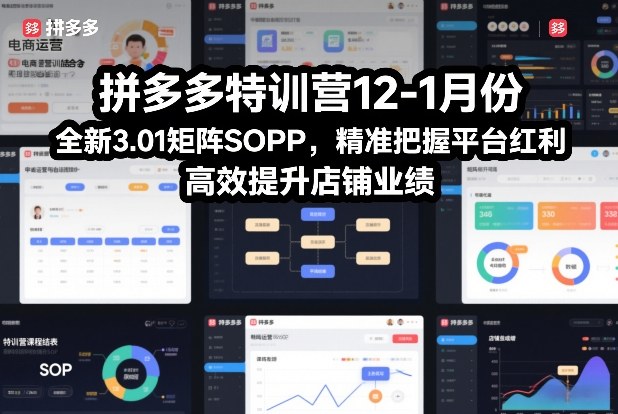 拼多多特训营12-1月份，全新3.01矩阵Sop，精准把握平台红利，高效提升店铺业绩-百创网