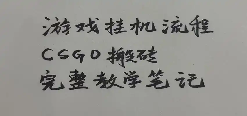 游戏挂机全流程笔记分享，CSGO游戏搬砖，小白看了当天学会见收益-百盟网