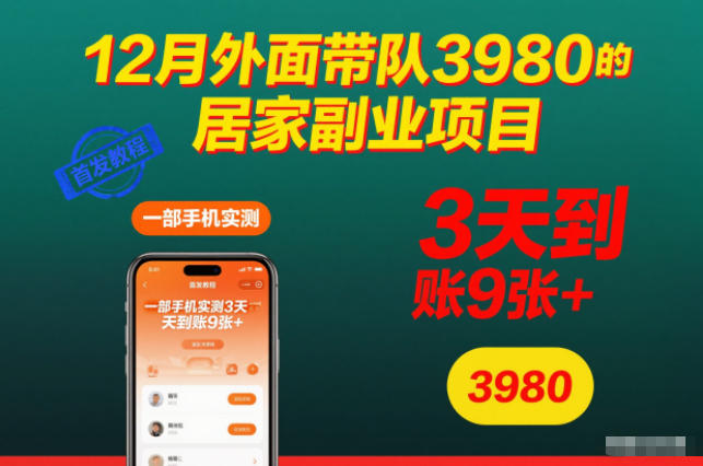 12月外面带队3980的居家副业项目，一部手机实测3天到账9张+，首发教程【揭秘】-百创网