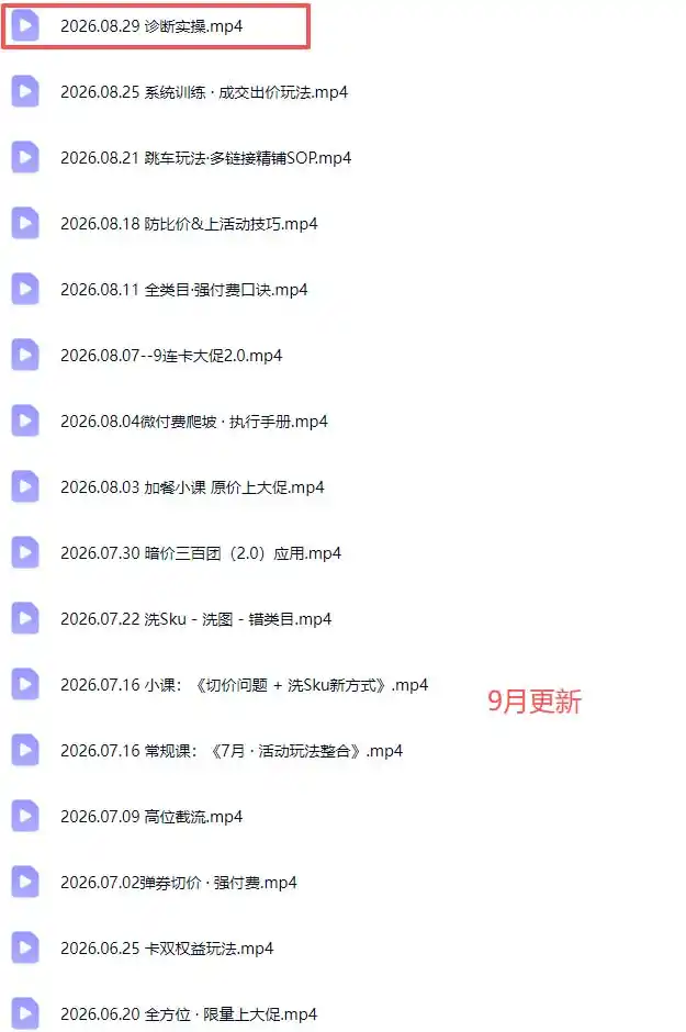 拼多多实战特训营(更新26年0831 拼多多实战特训营(更新26年0831