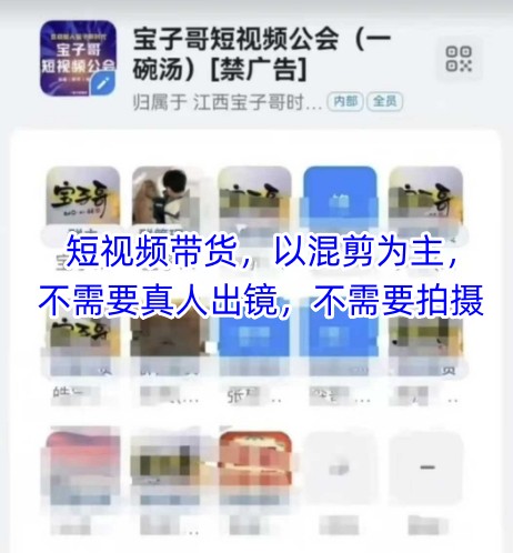 宝子哥头部团队短视频带货,以混剪为主,不需要真人出镜,不需要拍摄【更新11月】-百创网