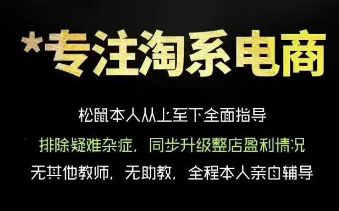松鼠会电商VIP课程，从基础布局到高阶优化，助你掌握淘宝运营逻辑，提升店铺流量与转化(更新0703)-百盟网