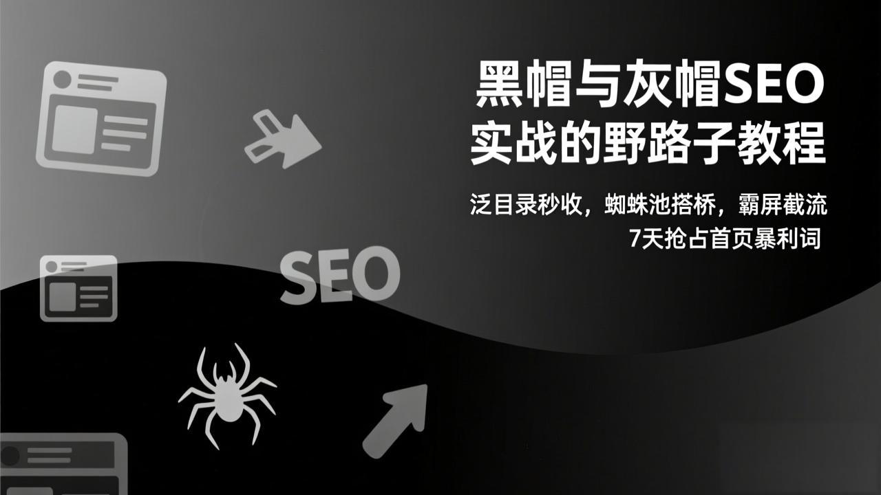 黑帽与灰帽SEO实战的野路子教程：泛目录秒收，蜘蛛池搭桥，霸屏截流，7天抢占首页暴利词-百创网