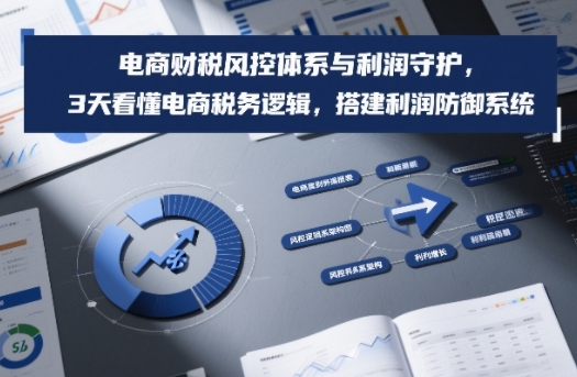 电商财税风控体系与利润守护，3天看懂电商税务逻辑，搭建利润防御系统-百创网