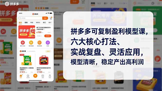 拼多多可复制盈利模型课，六大核心打法、实战复盘、灵活应用，模型清晰，稳定产出高利润-百创网