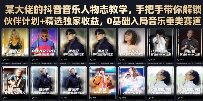 某大佬的抖音音乐人物志教学，手把手带你解锁伙伴计划+精选独家收益，0基础入局音乐垂类赛道-百盟网