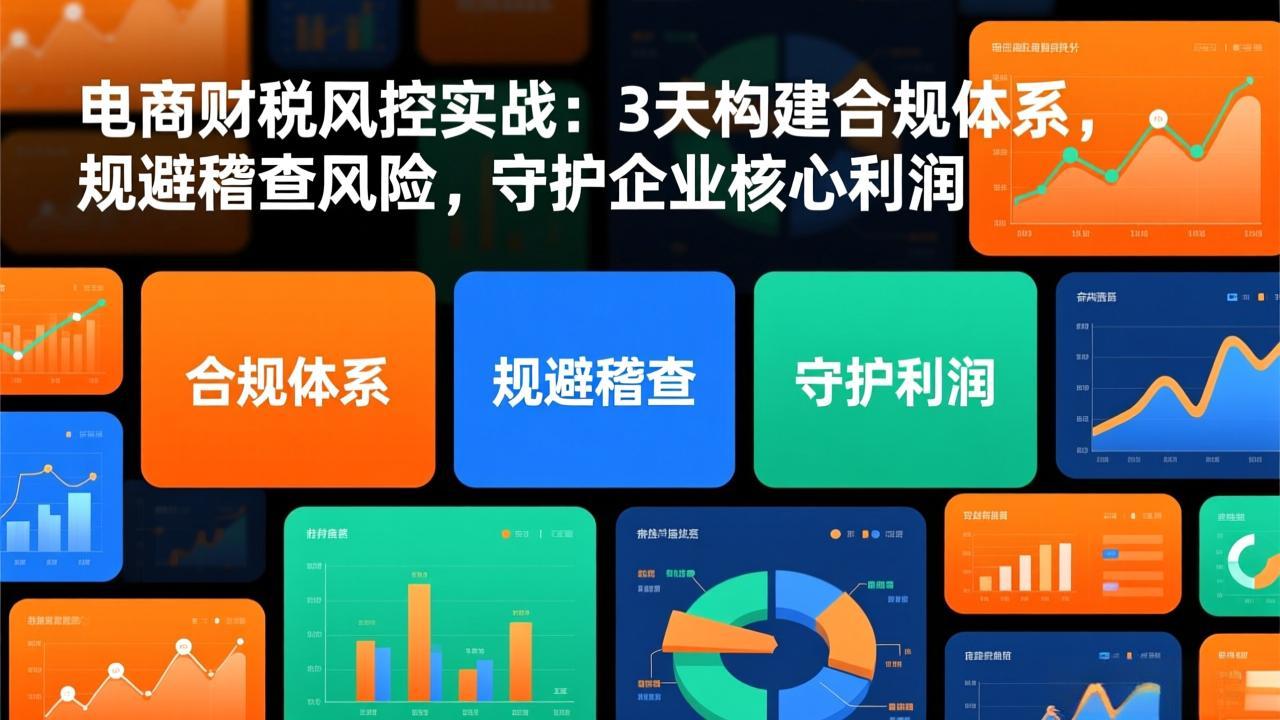 电商财税风控实战：3天构建合规体系，规避稽查风险，守护企业核心利润-百创网