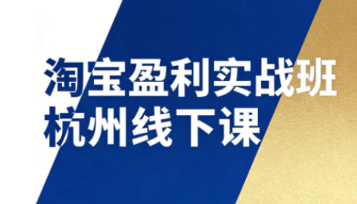 淘宝盈利实战班杭州线下课12月26-28日(音频+字幕)，帮你掌握SOP流程+12门核心技术-百创网