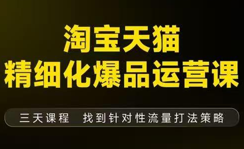 猫课子幽·淘宝天猫精细化爆品运营【音频+字幕+文档】(9月12-14杭州线下课)-百创网