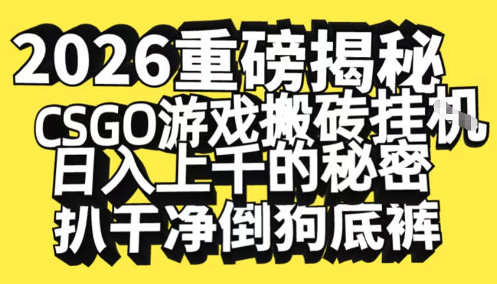 2026开年重磅解密，CSGO游戏搬砖挂G日入1k+的秘密，把倒狗的底裤扒干【揭秘】-百创网