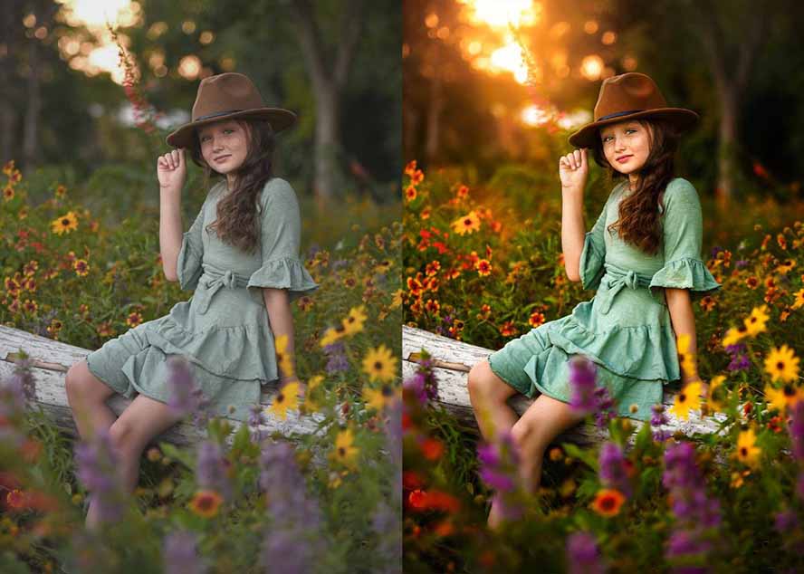 大师级GTG出品-老友记系列AI自适应预设The Friends Preset Collection-百盟网