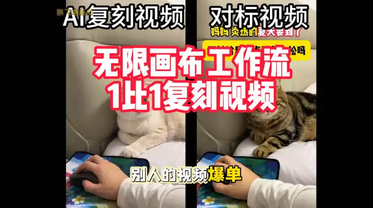 宠物带货视频复刻，无限画布工作流1比1，不用拍摄、不用布景、不用真人出镜，几分钟就能做出一条专业带货视频-百盟网