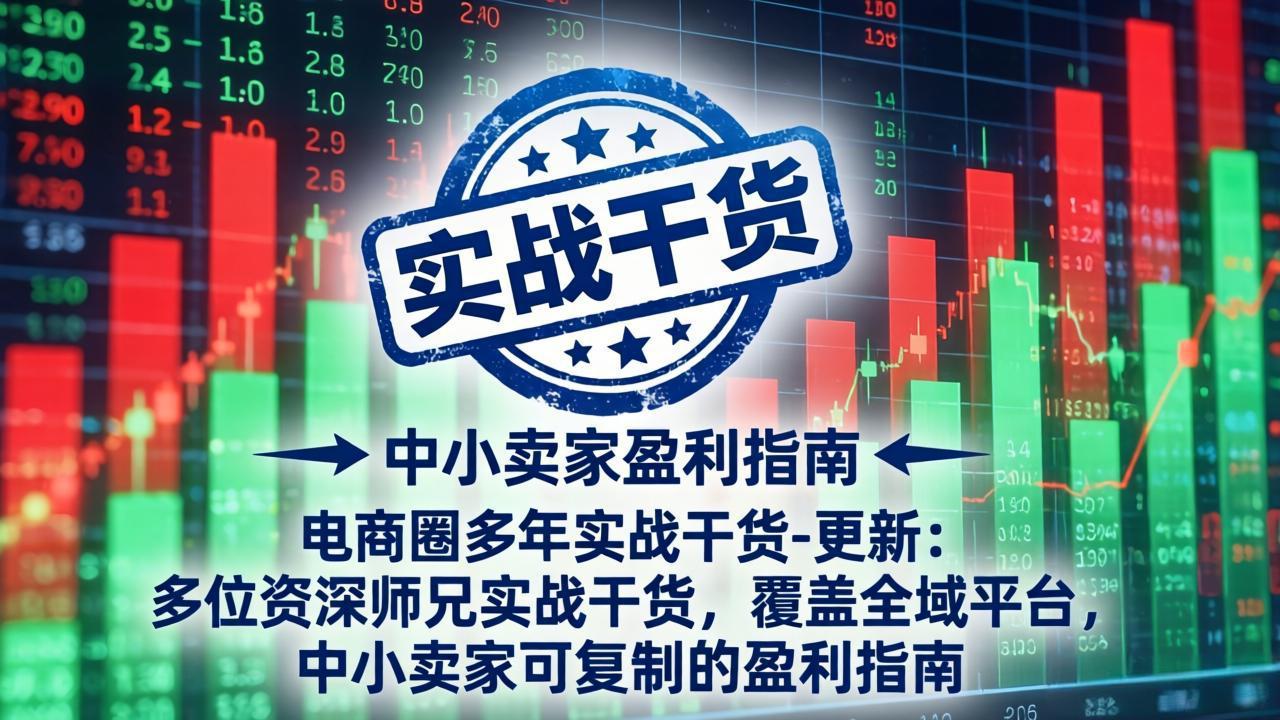 电商圈多年实战干货-更新4月:多位资深师兄实战干货,覆盖全域平台,中小卖家可复制的盈利指南-百盟网