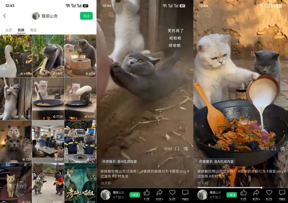 猫咪慢生活短视频教学，AI搞笑萌宠赛道，视频号分成+精选独家+伙伴计划+商单收徒等多种变现方式-百盟网