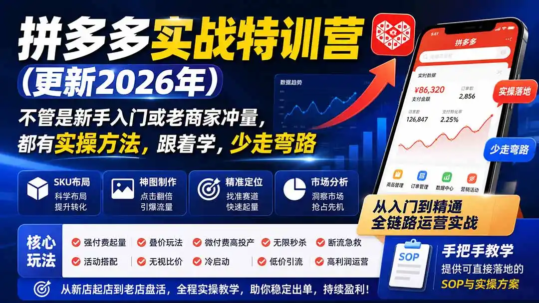 拼多多实战特训营(更新26年0831 拼多多实战特训营(更新26年0831