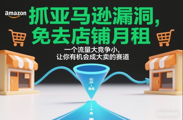 抓亚马逊漏洞，免去店铺月租，一个流量大竞争小，让你有机会成大卖的赛道-百创网